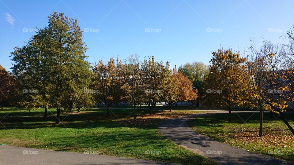 Italian park in autumn 1