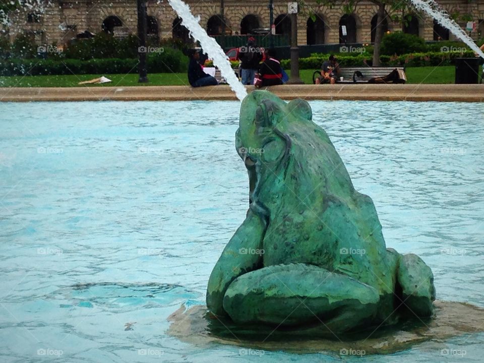 Frog fountain 