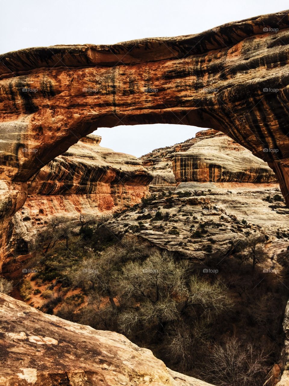 Natural Bridges, UTAH