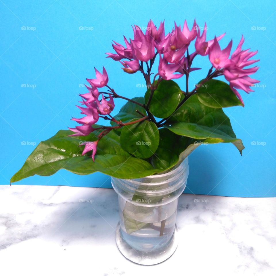 Purple flowers on vase