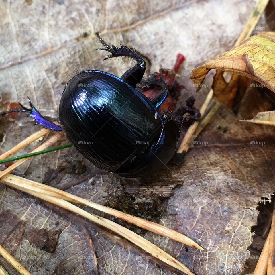 Captured with iPhone 6s Plus 