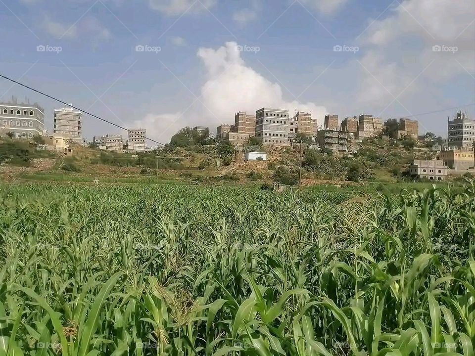 Glory be to God, the magnificent and picturesque view and the natural green trees are a view that is nothing more wonderful than it