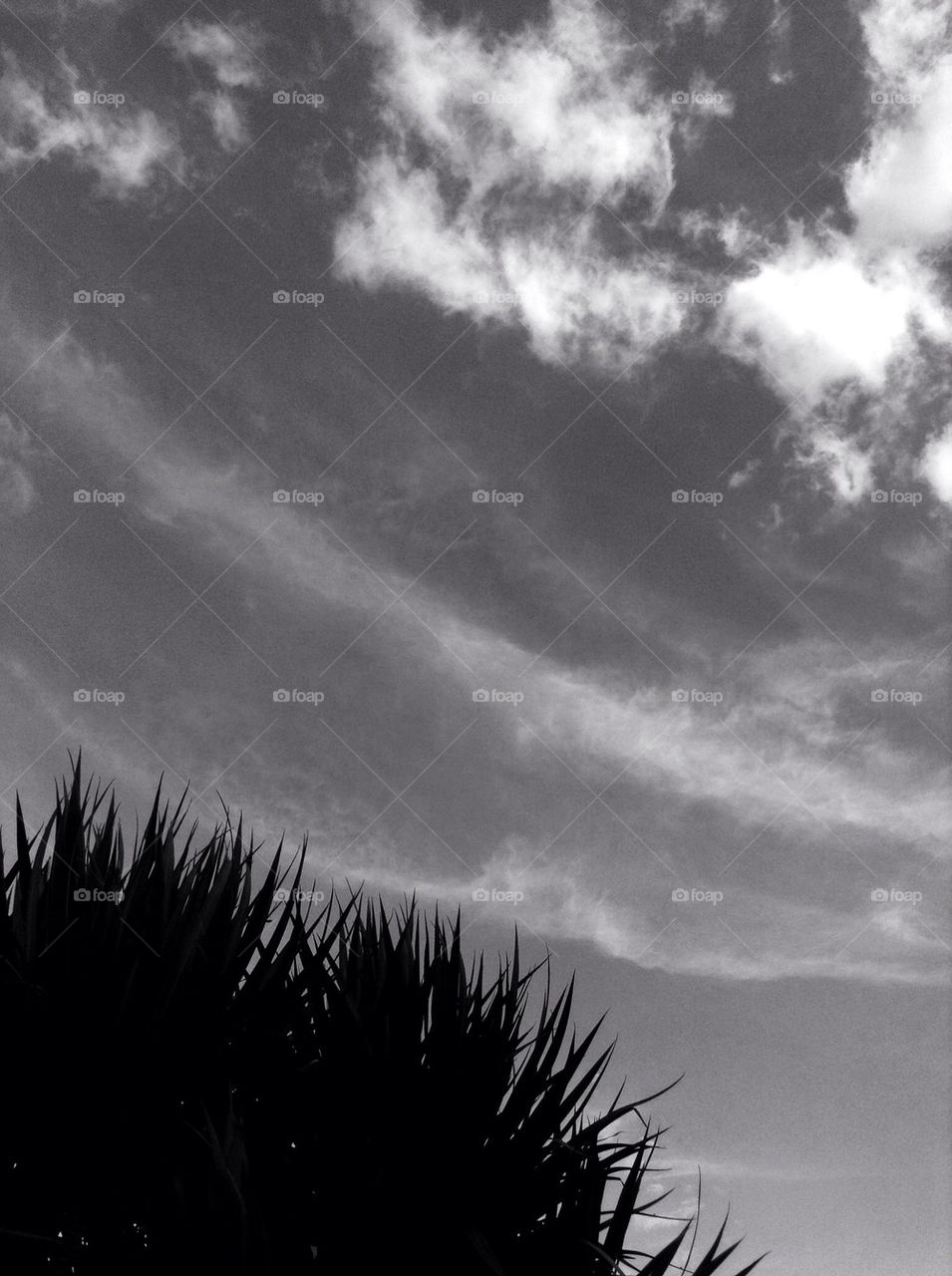 Clouds whisper on by.