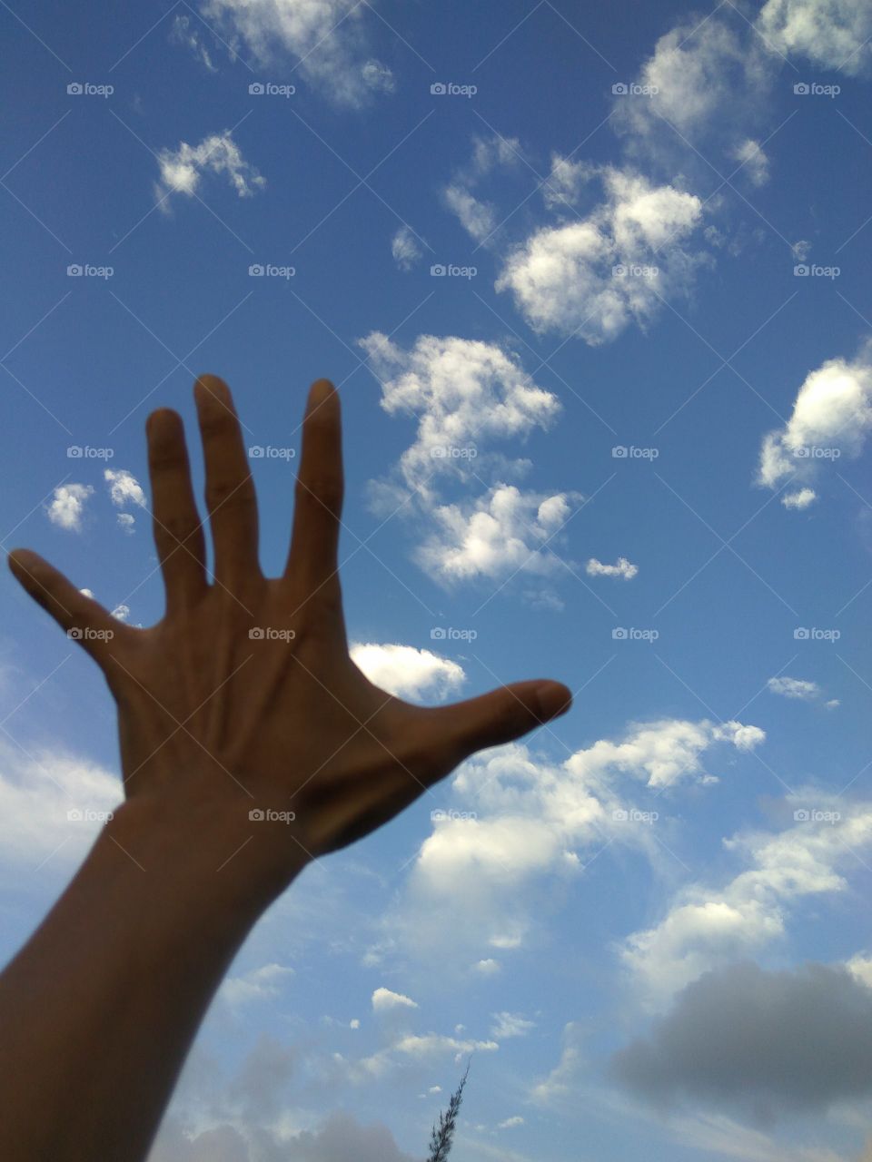 Hand and Sky
