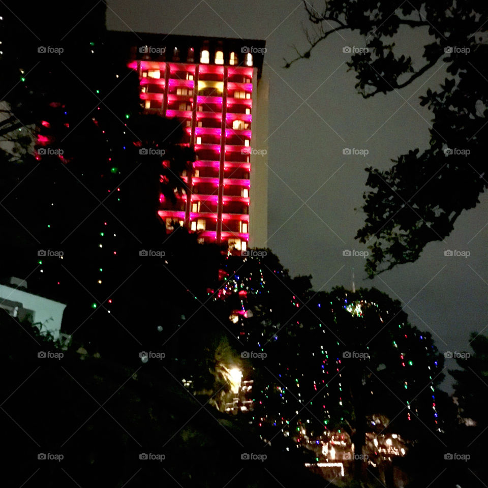 City building lit up red for Christmas & Christmas lights strung throughout the trees
