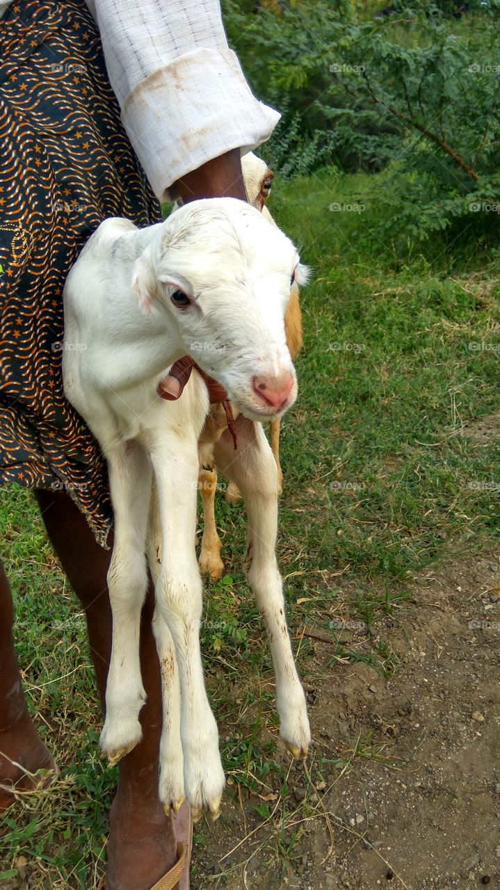 so sweetly
 few minutes back
 jest born baby