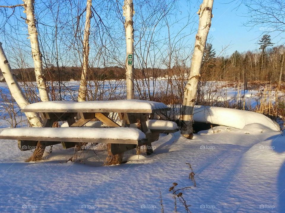 Bench in the Winter 