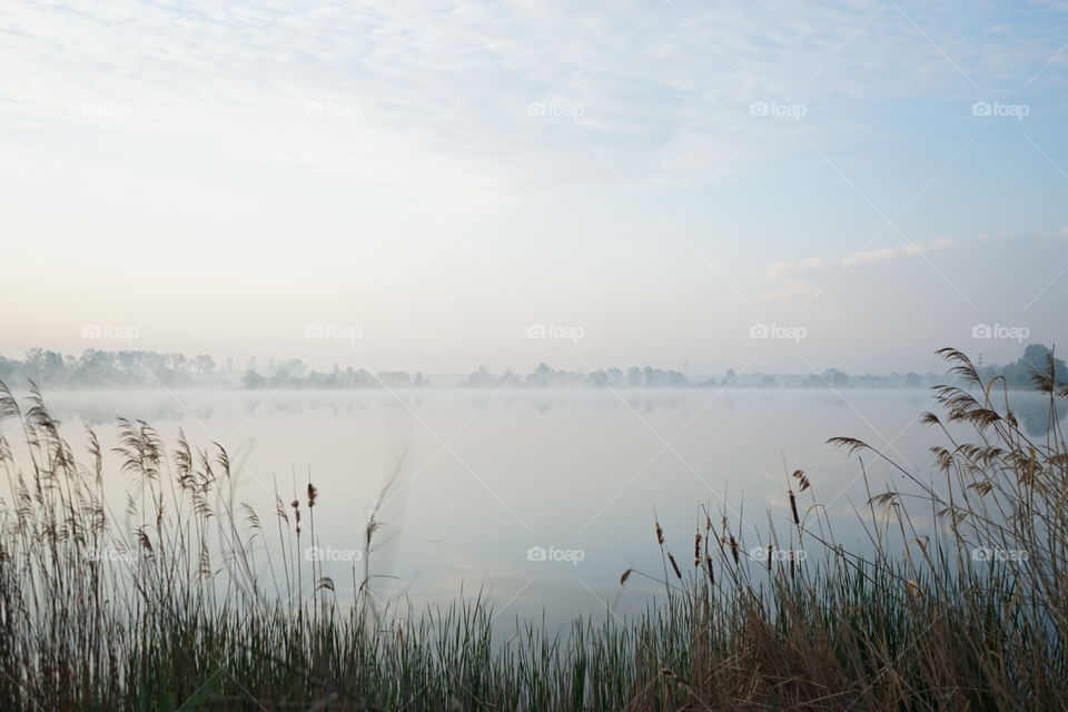 Morning over a misty lake