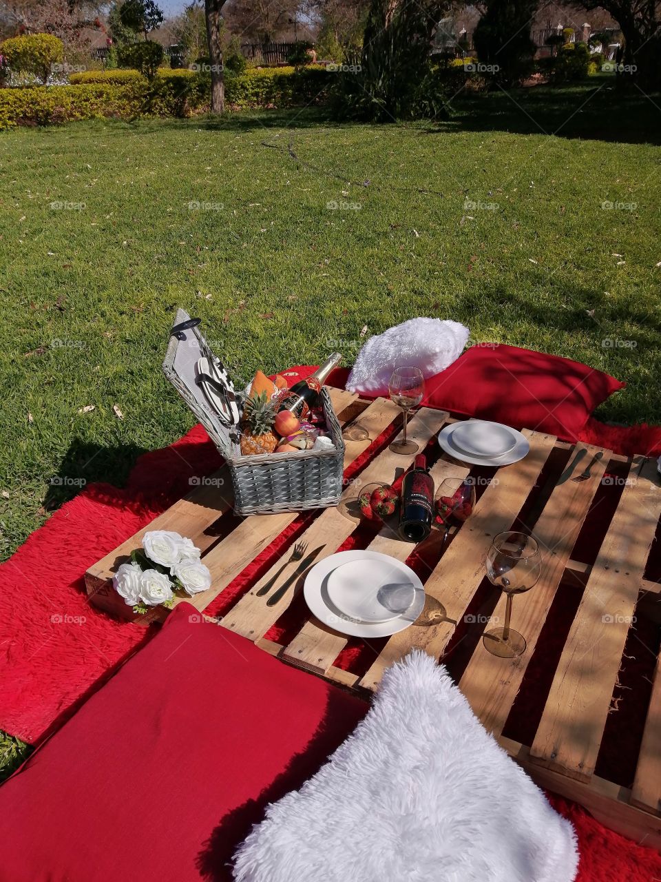 Intimate Picnic