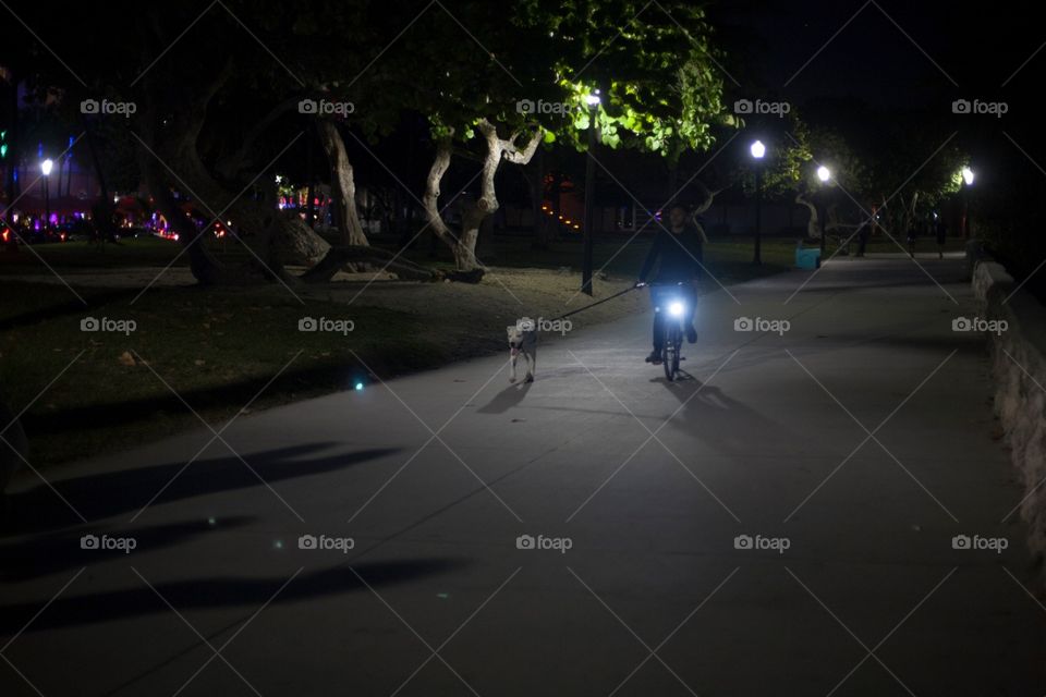 Dog walk. Man walks dog on his bike