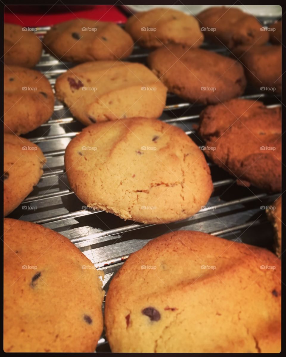 Freshly baked chocolate chip cookies