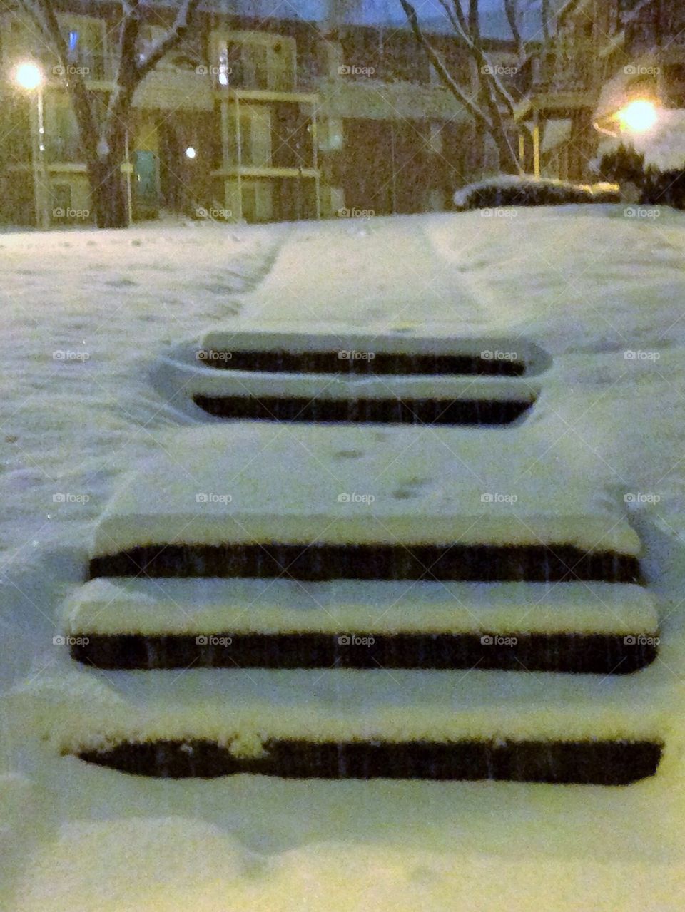Snowy Steps