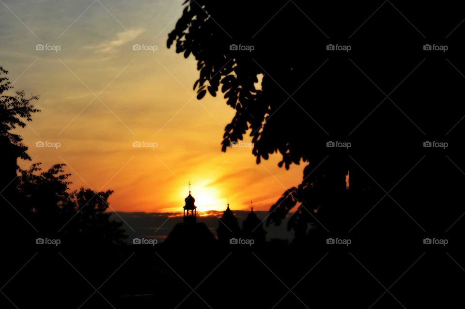 sunset behind trees