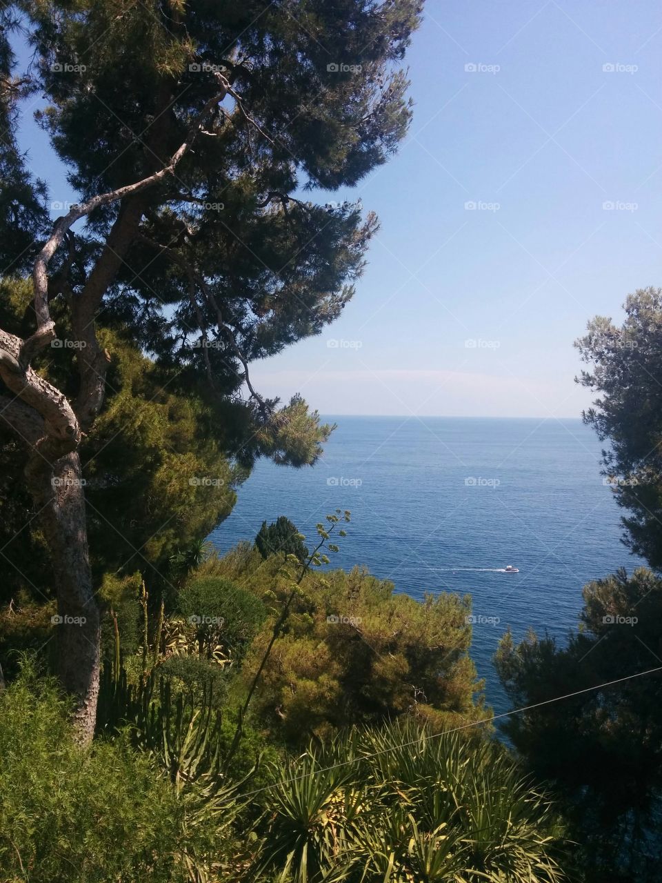 la Méditerranée, vue du Rocher de Monaco