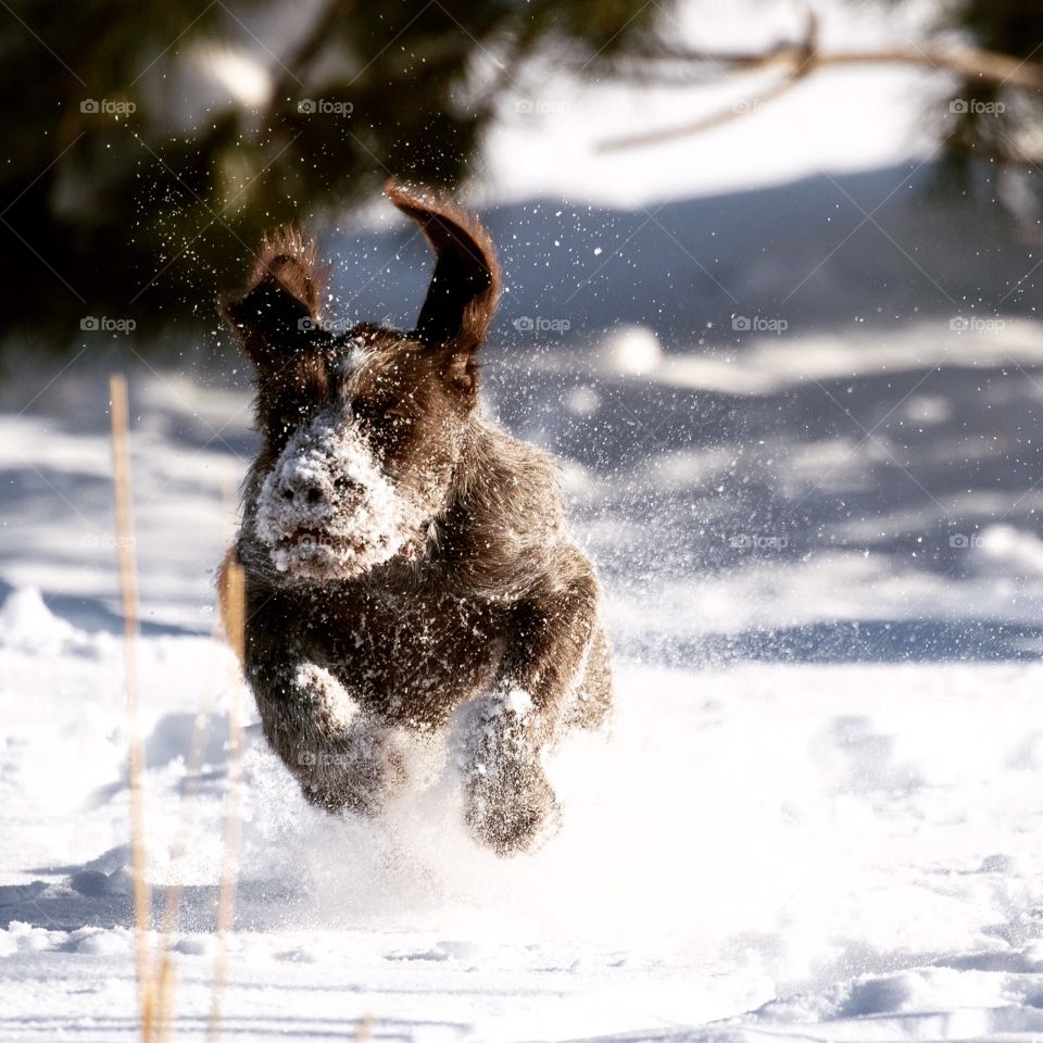 Snow day!