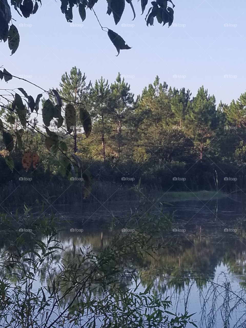 reflection Lake