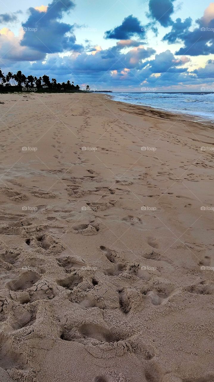 caminhos na areia da praia