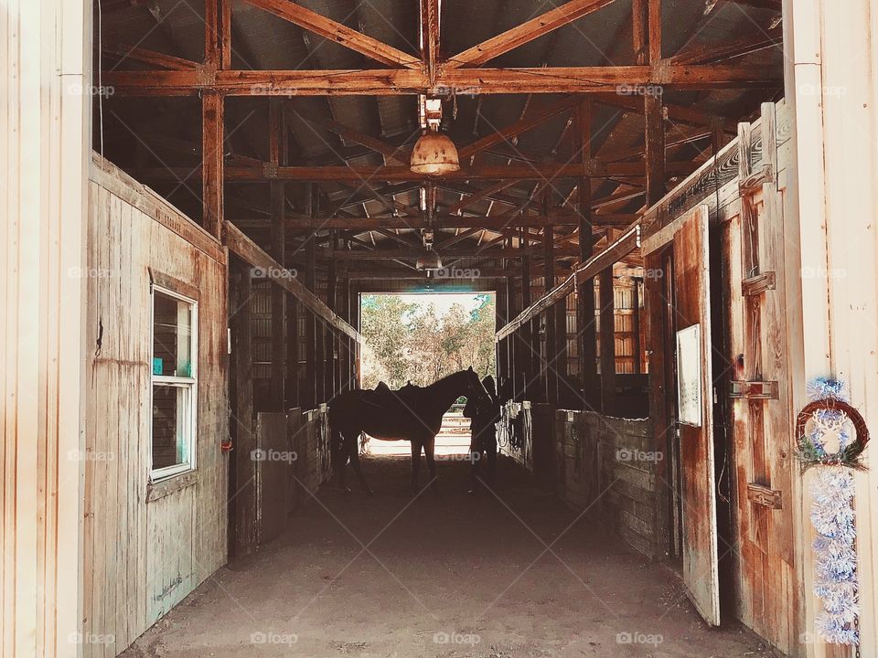 Lets ride out this summertime! Saddle up. 