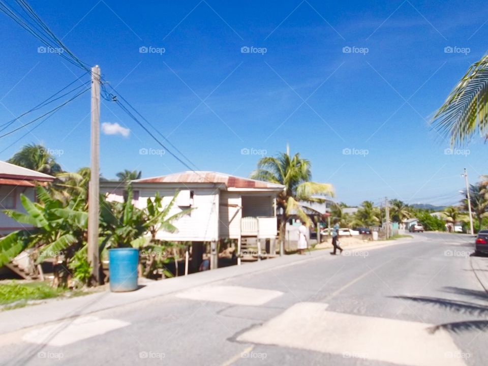 Picture from moving car traveling in Roatan Honduras  