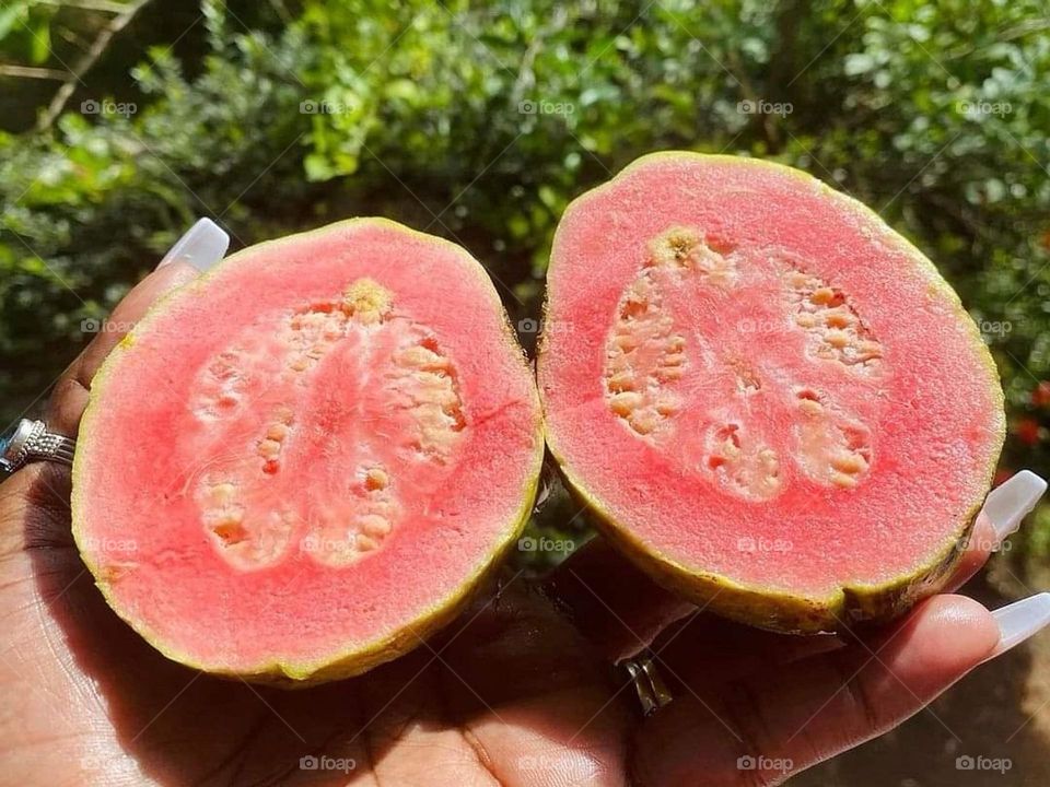 Guava, farm produce from Dominica 🇩🇲