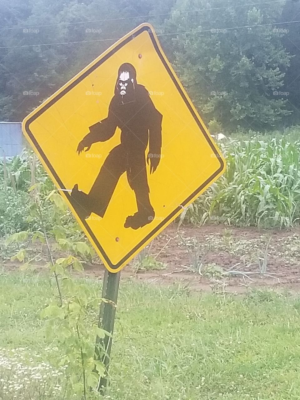 beware of sasquatch road sign