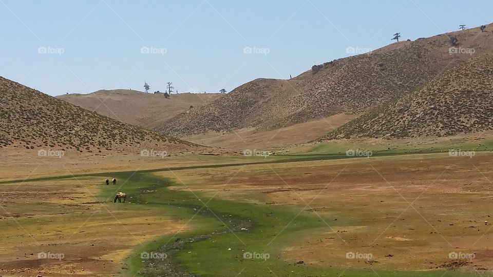 Berber landscape