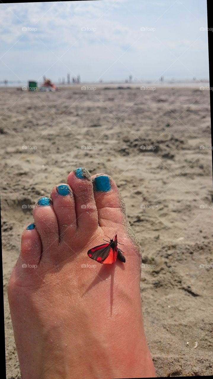 butterfly on my feet. butterfly on my feet