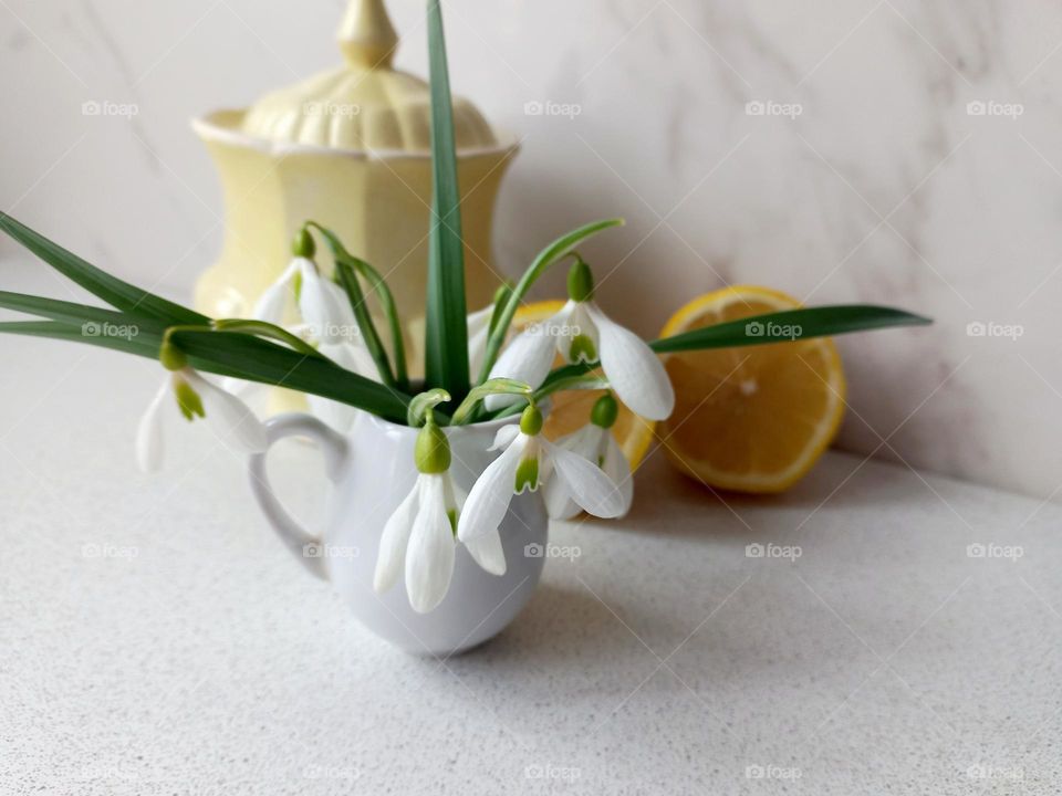 bouquet with snowdrops.