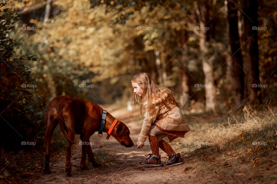 Little girl playing with dogs in an autumn park