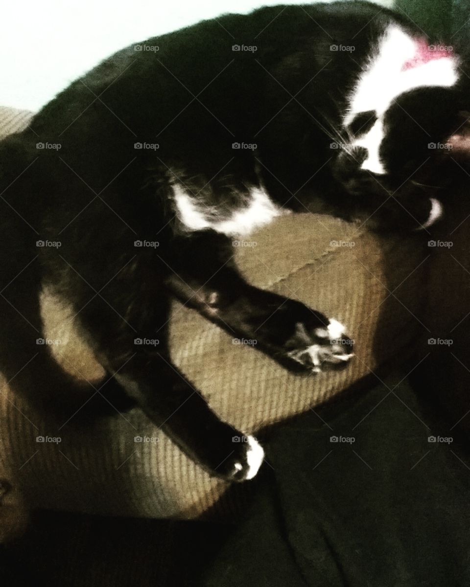 The most comfortable spot around