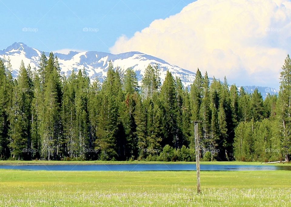 Snow peaks in background 