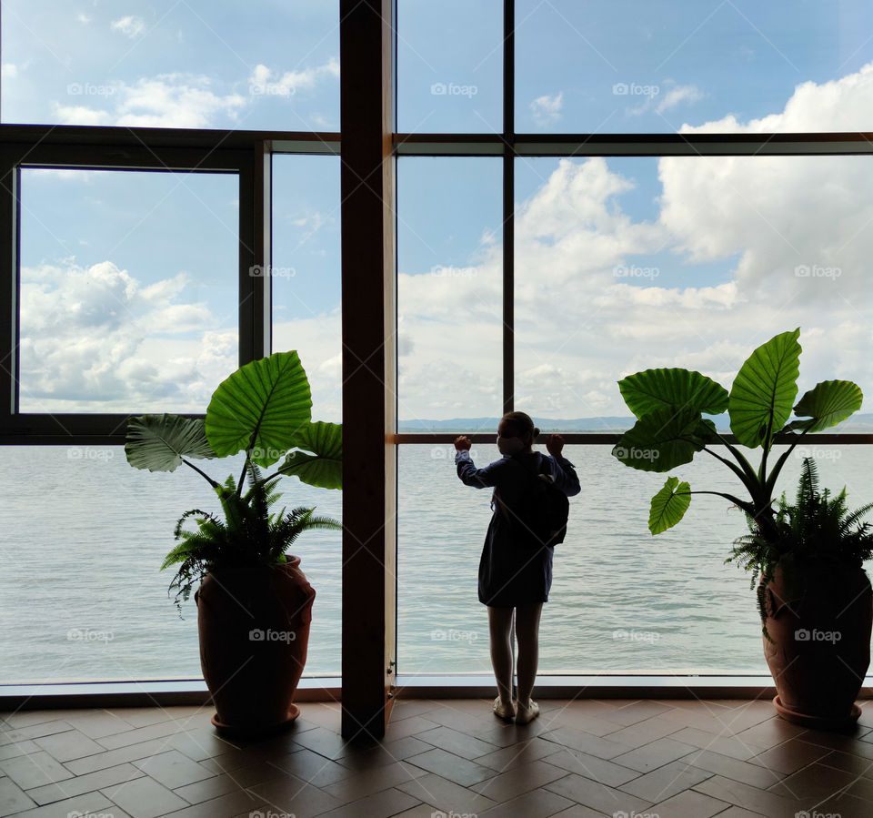 Window view in the museum