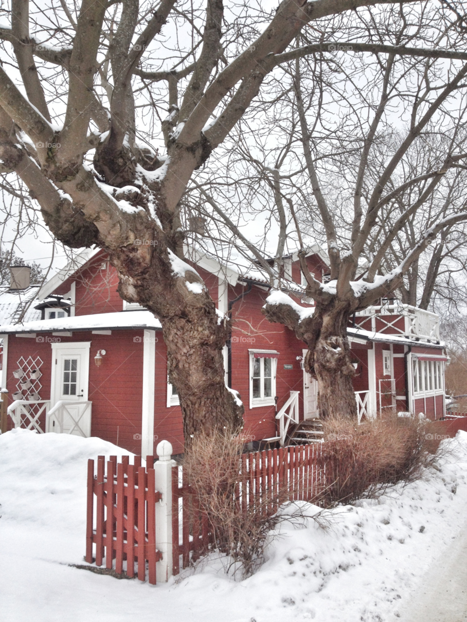 snow winter sweden red by piaktw