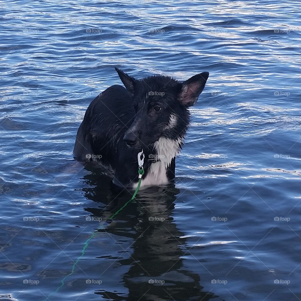 Bathing for the first time, and love it!