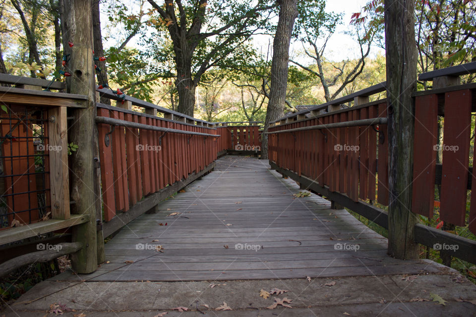 Elevated path. This is an elevated walkway that is about 100 ft above the ground.