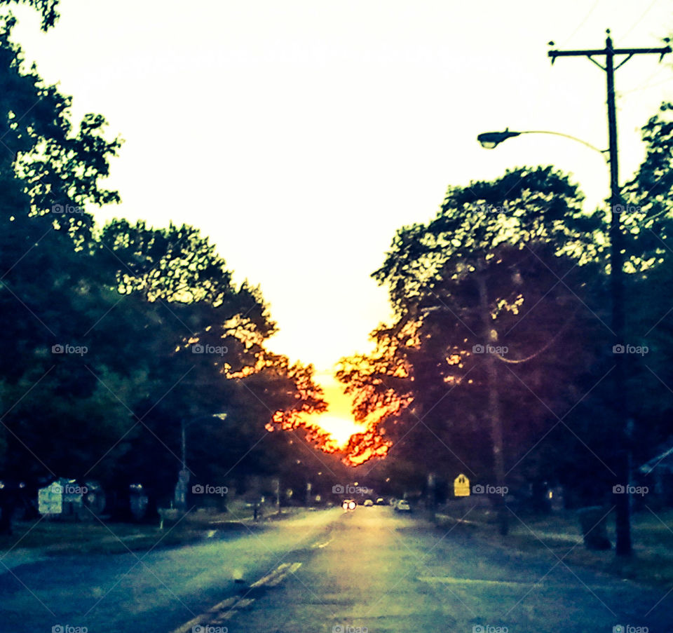 Sunset Road. The sun descending behind some trees with a vivid filter