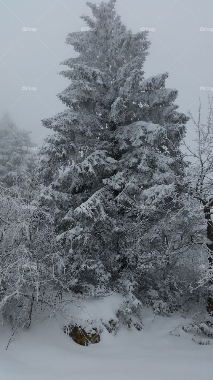 black and white . our climb was 1000 steps from the snow but it was just an uphill
