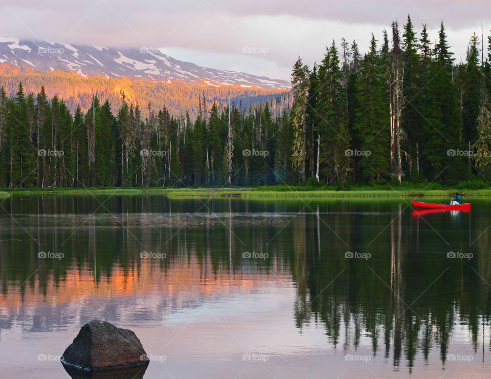 Summer vacation in the Oregon forest 