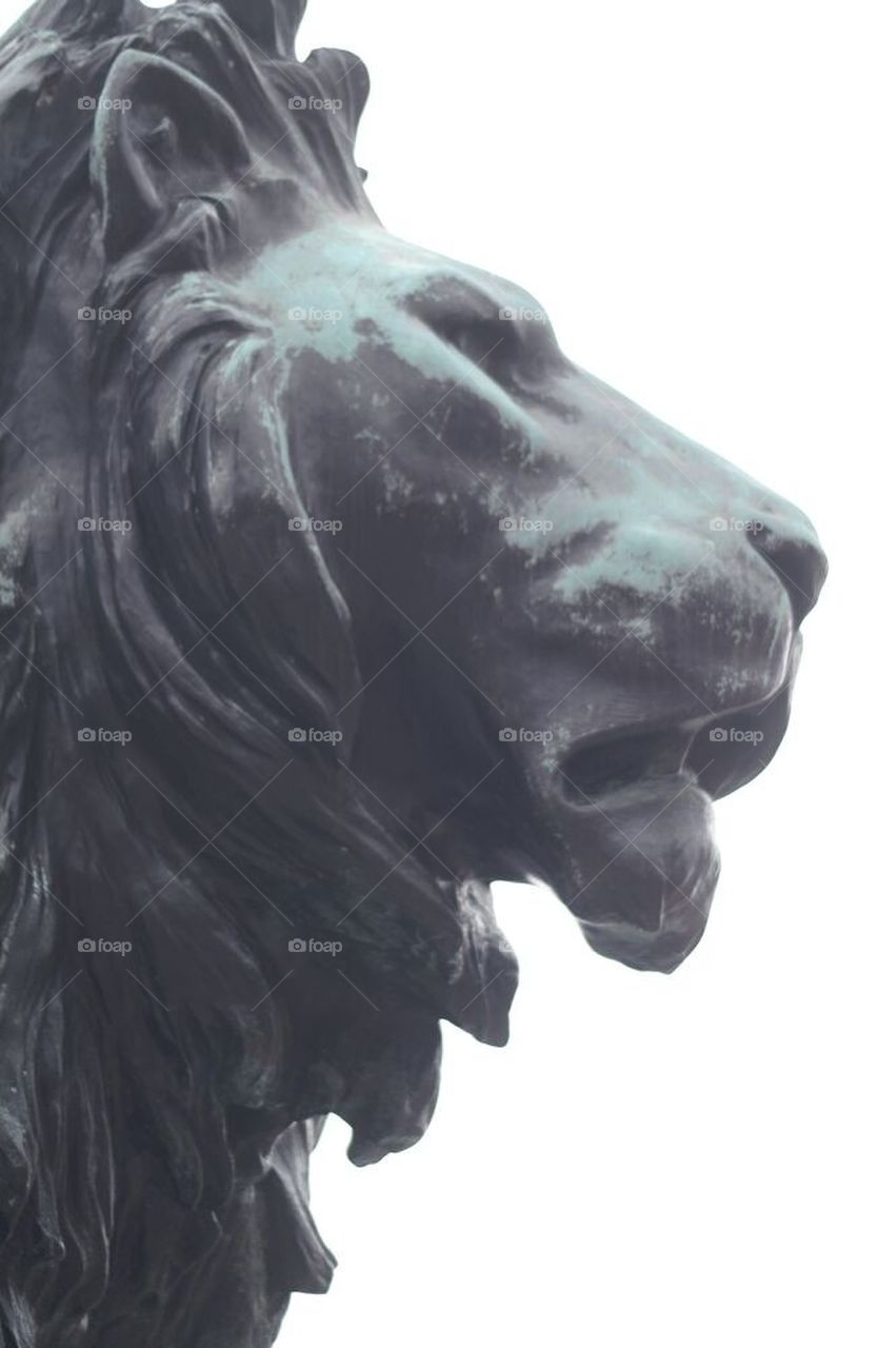 Lion statue profile