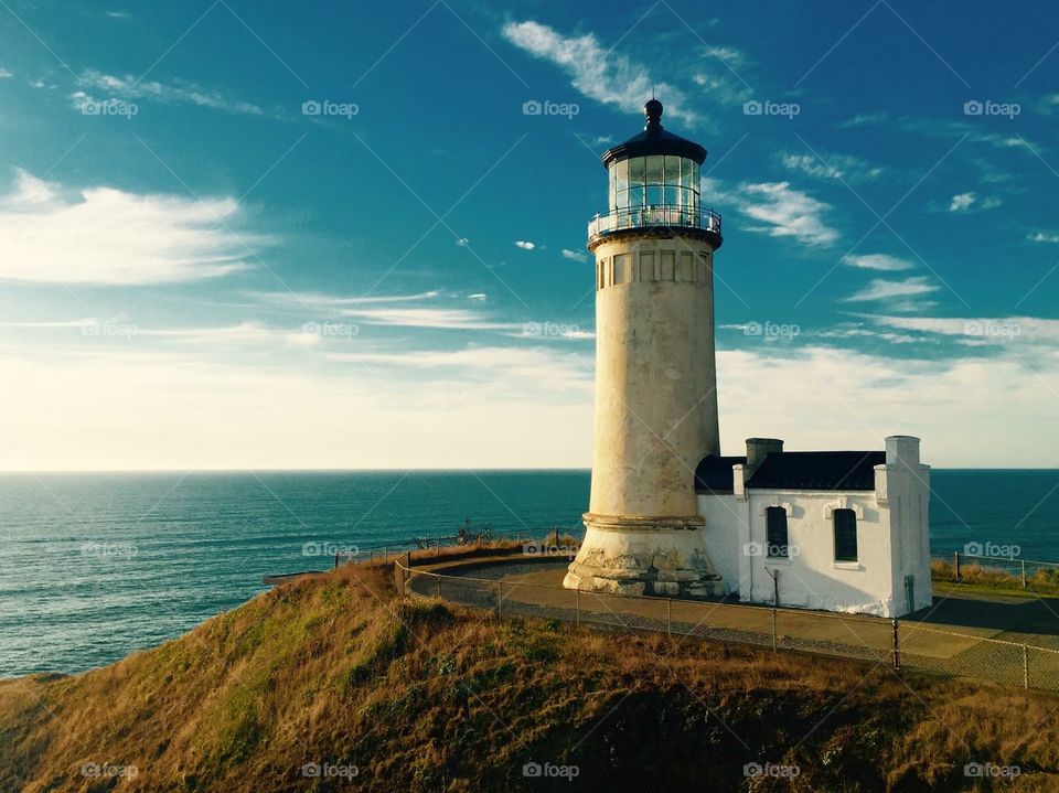 Cape Dissapountment State Park, Washington