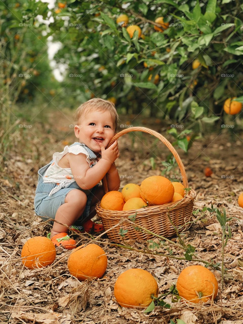 Baby girl smiling in orange orchard.Summer in Portugal .Orange trees