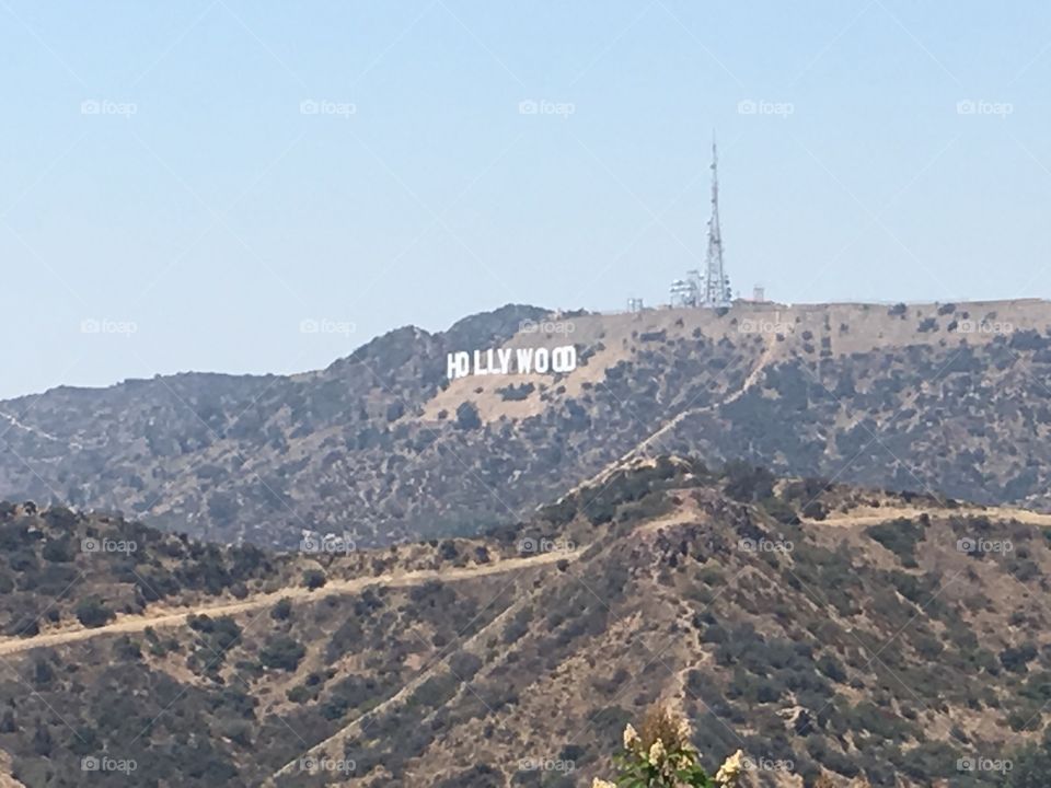 HOLLYWOOD 