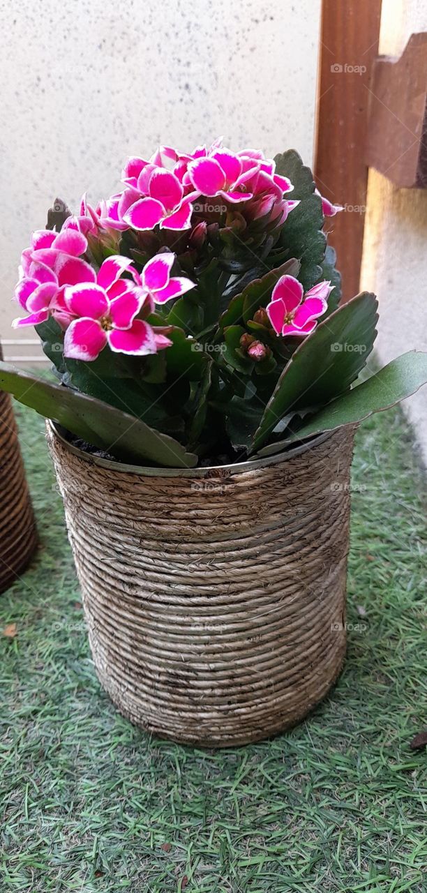 mes pots customisés