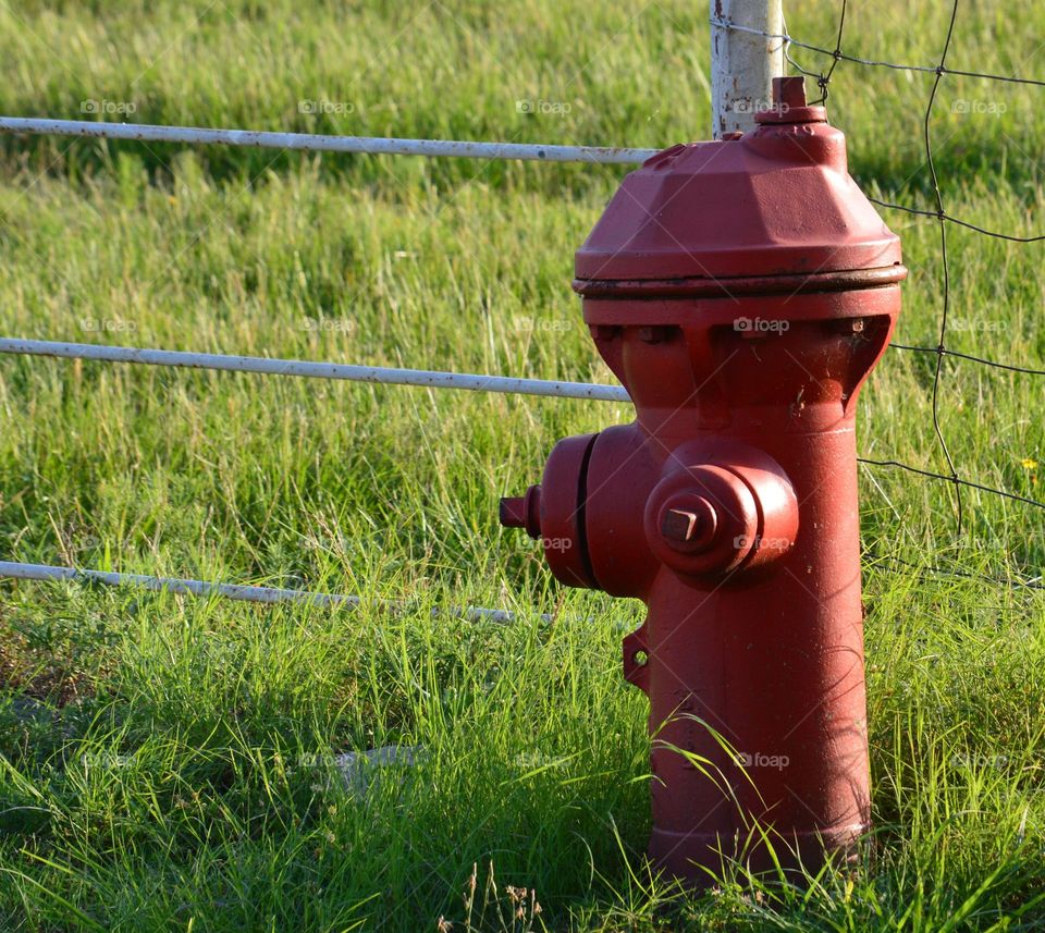 Fire hydrant painted red. 