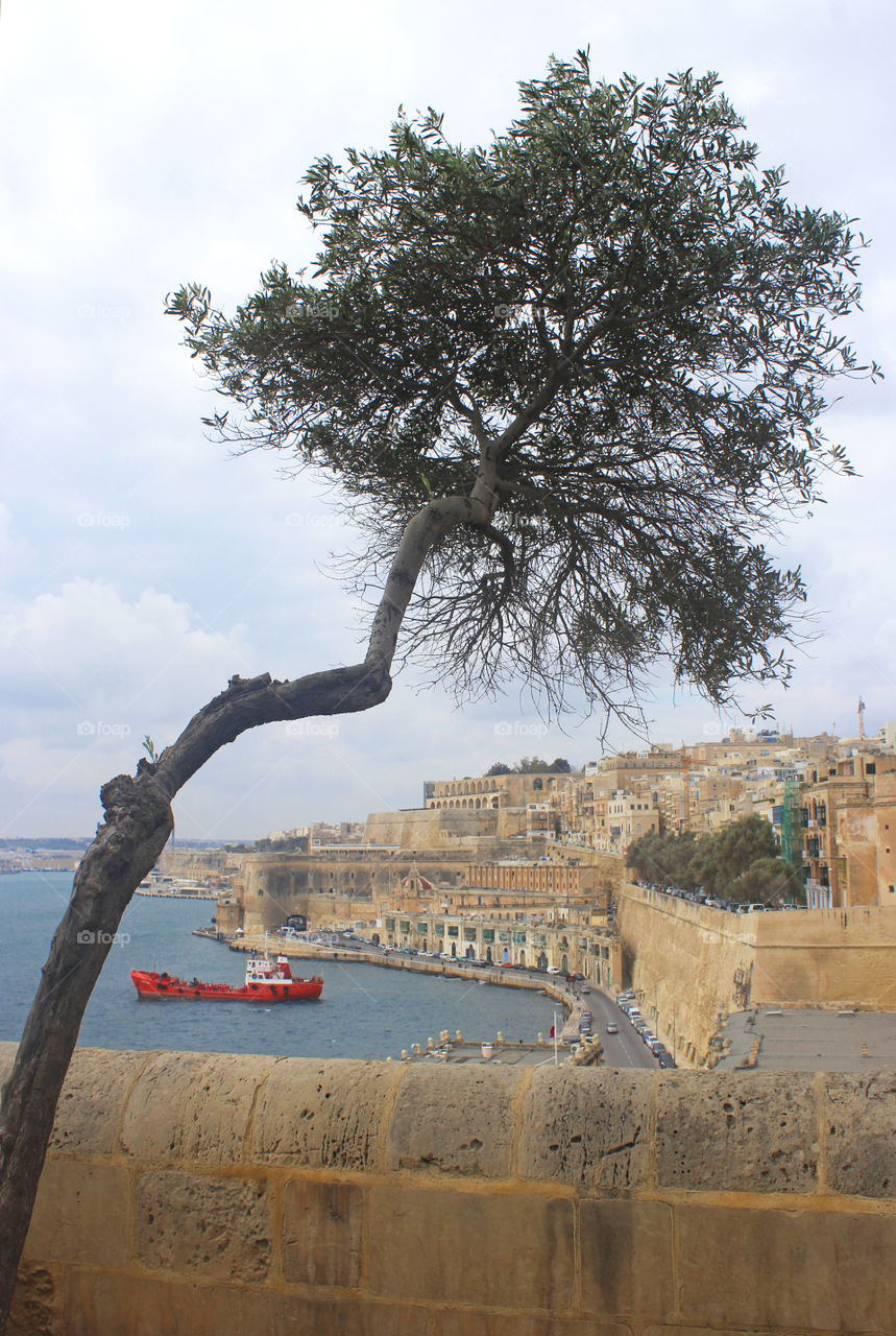 view to Valletta, Malta