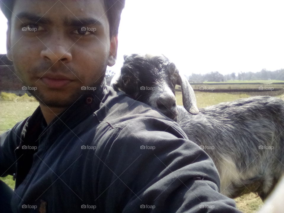 Meet my new cute friend