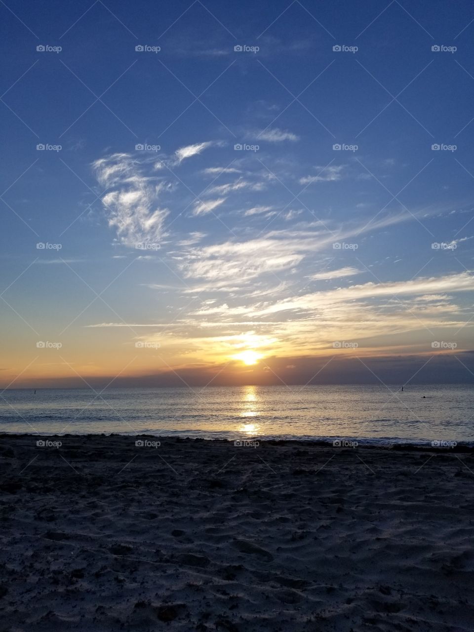 An explosion of sunlight