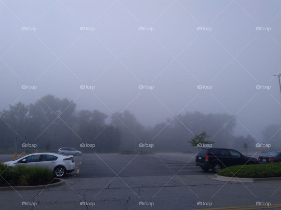 foggy view on my street.
