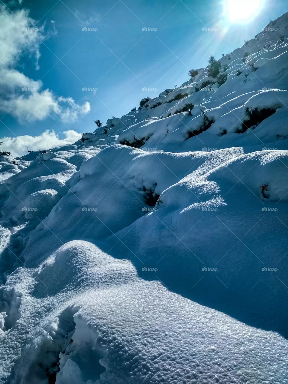 beautiful white snow picture.