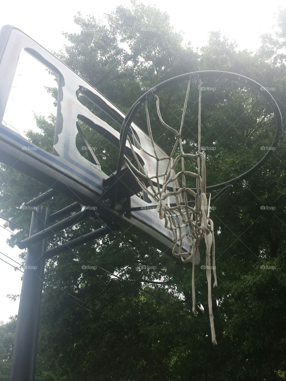 basketball hoop
